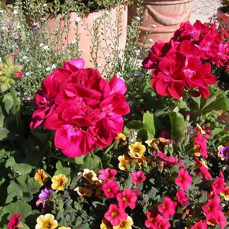 Haus Sonneneck 3 公寓 奥茨塞巴德·迪尔哈根